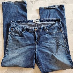 Maurices Orchid boot cut jeans